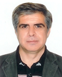 علی دینی ترکمانی: ظرفیت جذب اقتصاد ایران بسیار ضعیف است/ کشور با تعدد مراکز قدرت مواجه است
