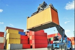 جزئیات واردات ۷.۱ میلیارد دلاری کالاهای اساسی