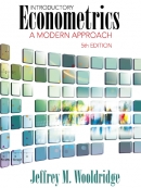 کتاب «مقدمه‌ای بر اقتصاد سنجی وولدریج» (به زبان انگلیسی) + PDF