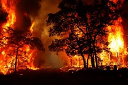 ورود مدعی‎العموم به آتش سوزی جنگل‌های ارسباران/ دستورات قضایی برای بررسی علت حادثه و شناسایی مقصران احتمالی صادر شد